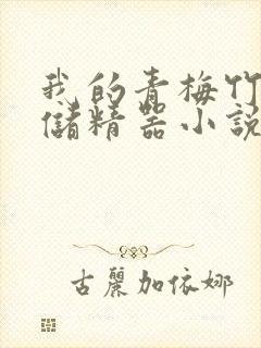 我的青梅竹马是储精器小说