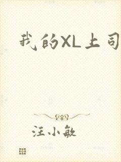 我的XL上司