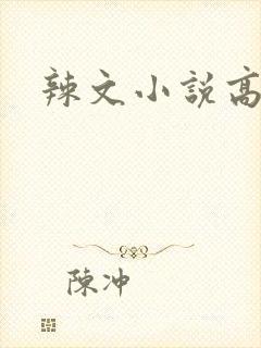辣文小说高h