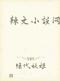 辣文小说网