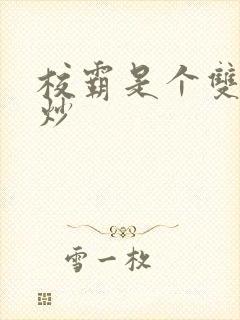 校霸是个双被爆炒封面