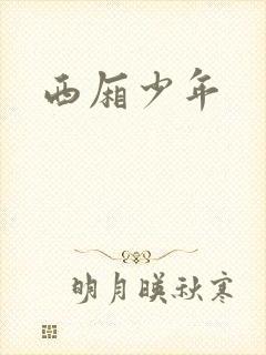 西厢少年