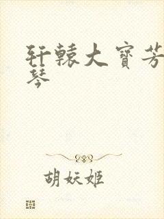 轩辕大宝芳菲雅琴