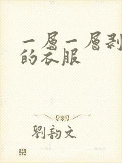 一层一层剥开我的衣服