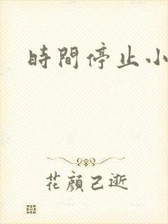 时间停止小说