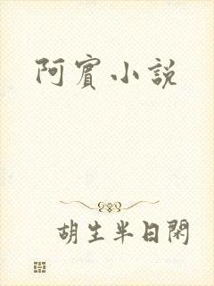 阿宾小说