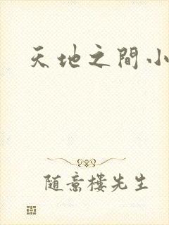 天地之间小说