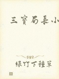 三宝局长小说封面