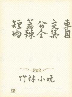 短篇公交车高h肉辣全集目录封面