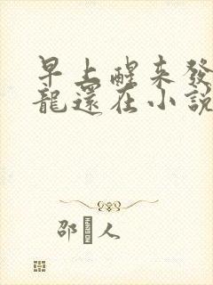 早上醒来发现巨龙还在小说封面