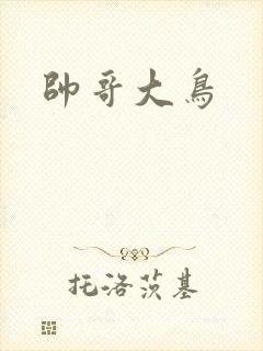 帅哥大鸟