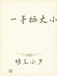 一手抚大小说