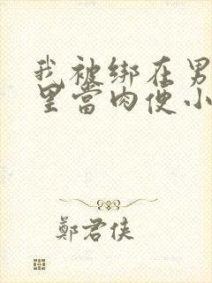 我被绑在男公厕里当肉便小说