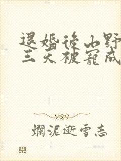 退婚后山野糙汉三天被宠成宝小说