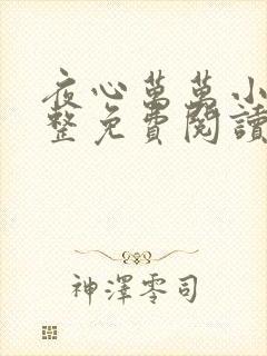 夜心万万小说完整免费阅读全文