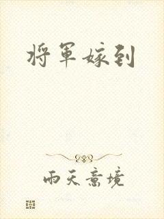 将军嫁到