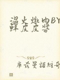 温火炖肉BY海鲜皮皮酱封面