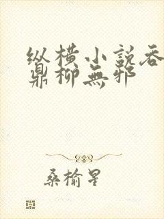 纵横小说吞天神鼎柳无邪