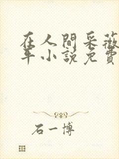 在人间采薇陆三平小说免费阅读封面