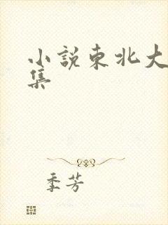 小说东北大炕全集封面