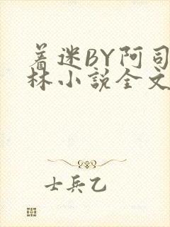 着迷BY阿司匹林小说全文免费阅读