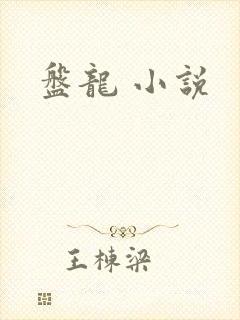 盘龙 小说