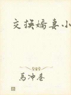 交换娇妻小说
