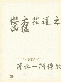 樱木花道之重生凶猛