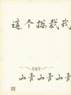 这个总裁我要了封面