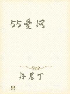 55爱网