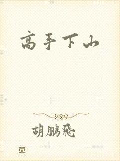 高手下山封面