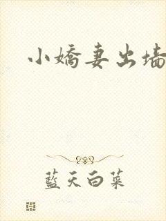 小娇妻出墙记
