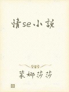 情se小说