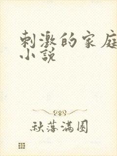 刺激的家庭乱仑小说