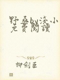 野桑by浅小说免费阅读封面