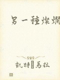 另一种灿烂生活