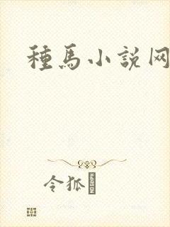 种马小说网封面