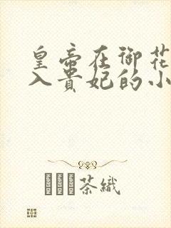 皇帝在御花园进入贵妃的小说