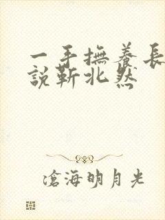 一手抚养长大小说靳北然