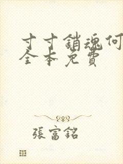 寸寸销魂何生祥全本免费封面