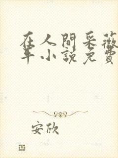 在人间采薇陆三平小说免费阅读封面