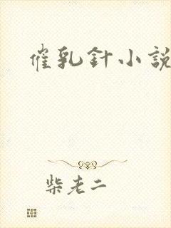 催乳针小说封面