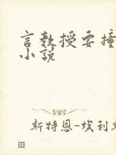 言教授要撞坏了小说