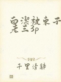 白洁被东子老二老三3p