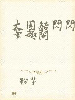 大团结闪闪发光笔趣阁封面