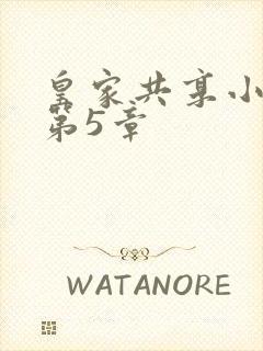 皇家共享小公主第5章