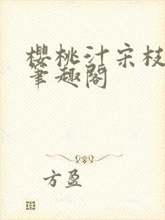 樱桃汁宋枝江野笔趣阁