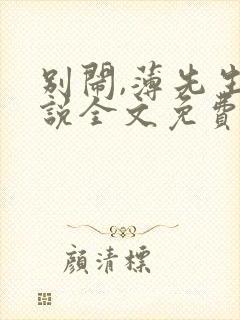 别闹,薄先生小说全文免费阅读封面