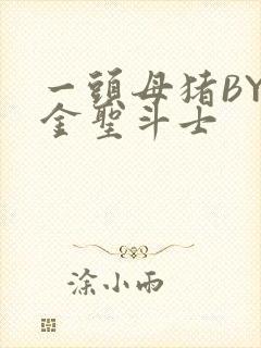 一头母猪BY黄金圣斗士