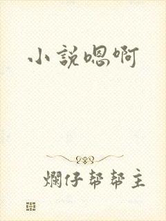 小说嗯啊